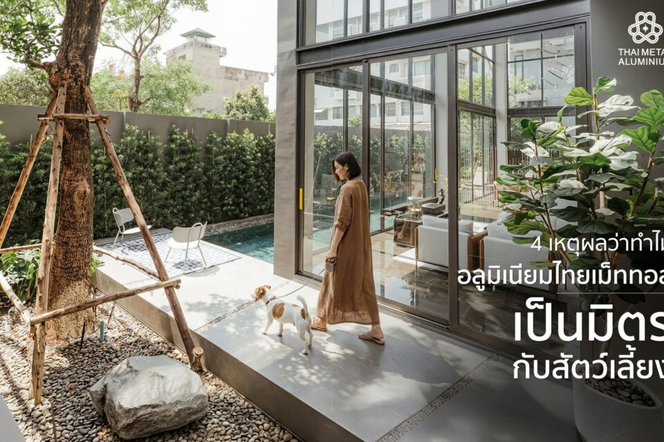 ประตูหน้าต่างเหมาะกับสัตว์เลี้ยง